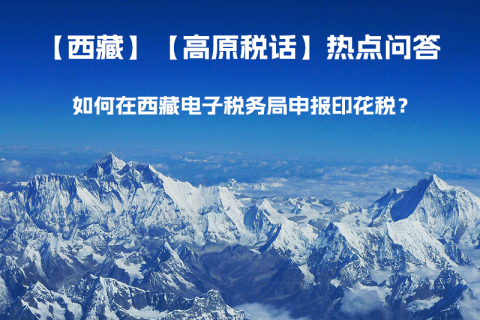 如何在西藏自治區(qū)電子稅務(wù)局申報(bào)印花稅？