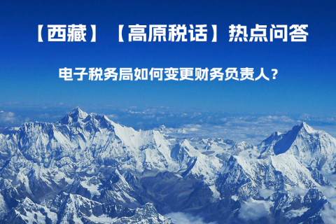 電子稅務(wù)局如何變更財(cái)務(wù)負(fù)責(zé)人？