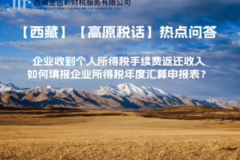 企業(yè)收到個(gè)人所得稅手續(xù)費(fèi)返還收入，如何填報(bào)企業(yè)所得稅年度匯算申報(bào)表？